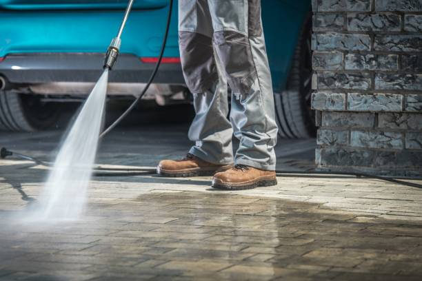 Best House Exterior Washing  in Bremen, GA