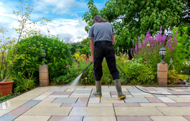 Best Driveway Pressure Washing  in Bremen, GA
