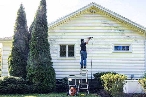 Best Sidewalk and Walkway Cleaning  in Bremen, GA